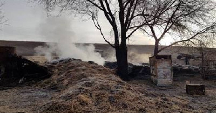 Көктем слайд, презентация - Қазақ тілі