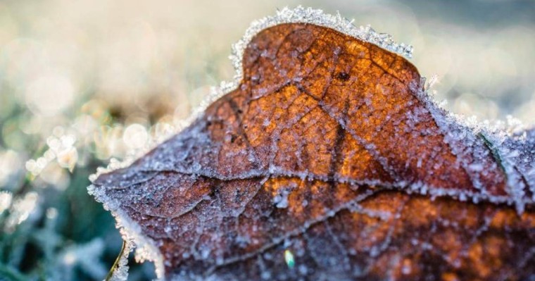 未来三天全国大部分地区将迎来暖和晴朗天气