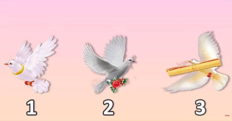 Психологиялық тест: Көгершіннің бірін таңдап, өзіңіз жайлы сыр біліңіз