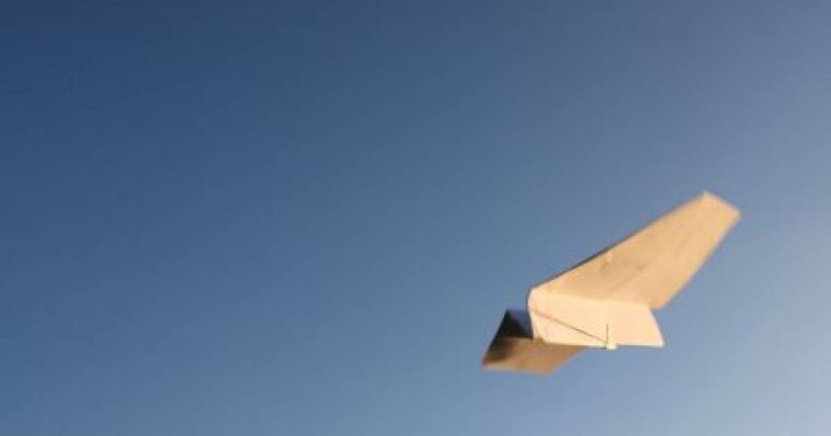 Бала арман және мәңгілік арман