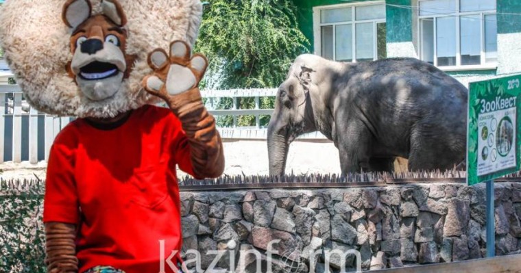 夏日的阿拉木图动物园