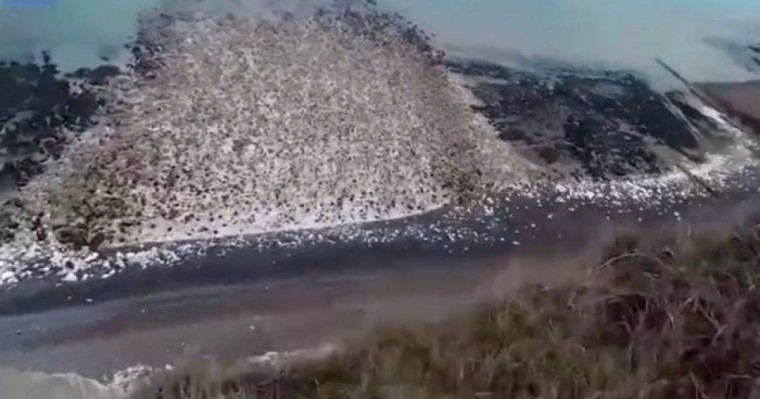 Жігіт парашютпен құздан секірді: бұл оның өміріндегі соңғы сәті болуы мүмкін