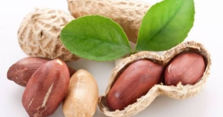 Жер жаңғақтың жанға жайлы қасиеттері