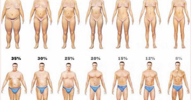 Арықтау барысында ең керек кеңестер