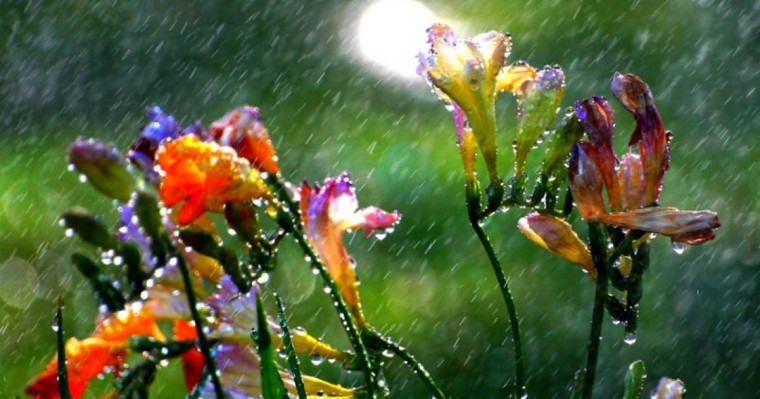 未来三天全国大部分地区将迎来雷雨天气