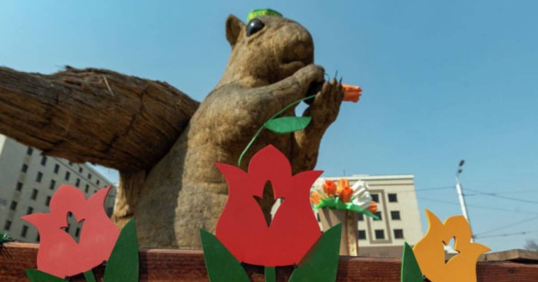 Алматылық Тиін әлеуметтік желіде пост "жазды"