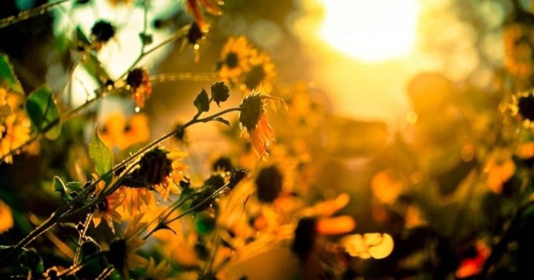 未来48小时我国东部将有强降雨