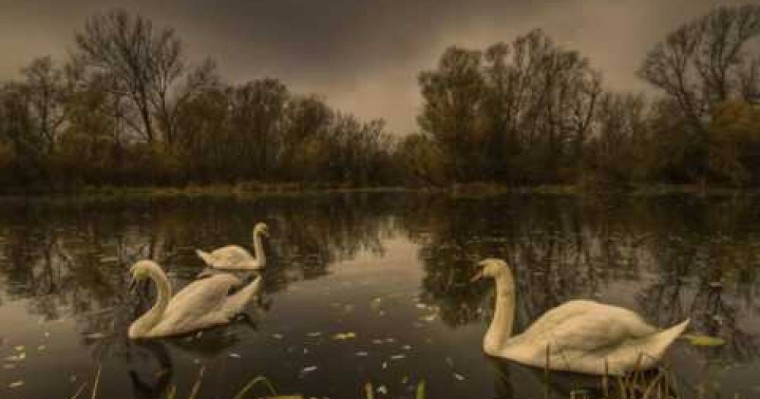 М.Мақатаев " Аққулар ұйықтағанда" поэмасын талдау