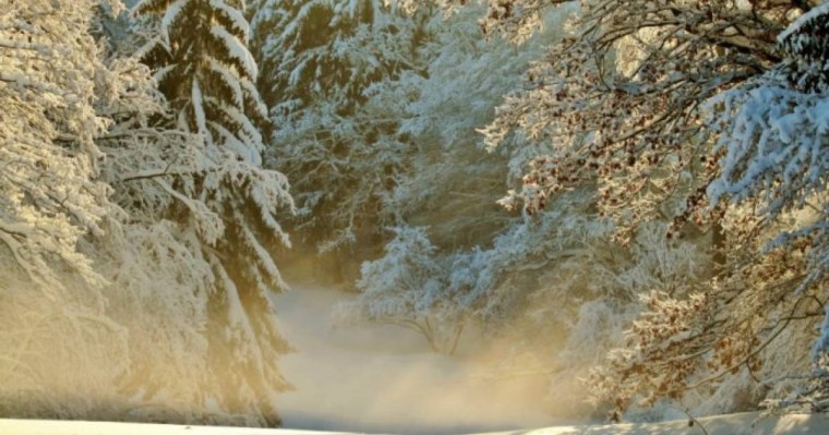 14:14Еліміздің аумағына аномальды жылудан кейін қайтадан суық келеді