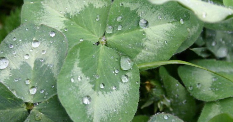 Нұр-Сұлтан, Шымкент, Алматы, Түркістан, Маңғыстау, Атырау