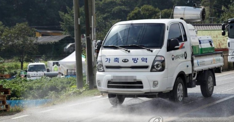 韩国出现第九起非洲猪瘟疫情