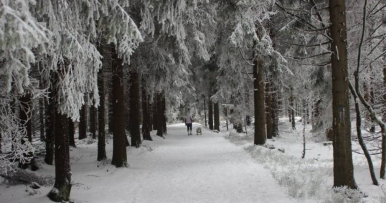Қазақстанның оңтүстік және шығыс аймақтарында қатты қар жауады