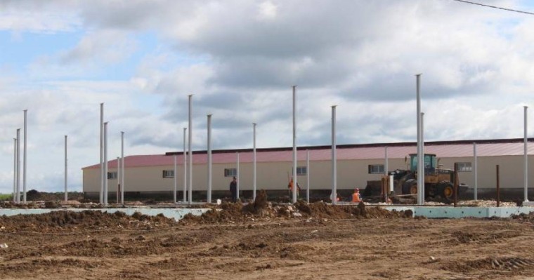 英国投资者拟在哈萨克斯坦建设现代奶牛场