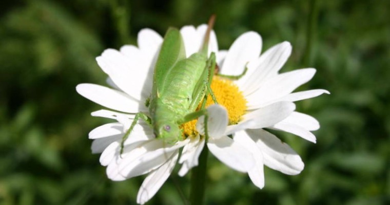 Ауа райы болжамы: 28, 29, 30 мамыр