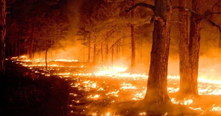 法国南部发生森林大火 近3千名游客紧急疏散