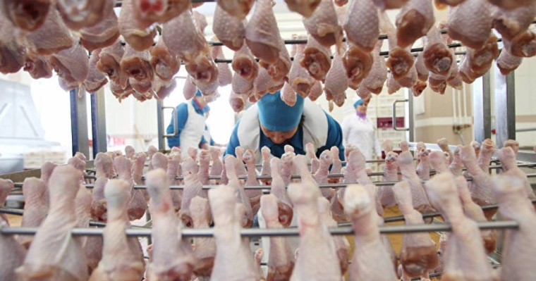 Нығматулин Қазақстанның ет пен сүтті шетелден импорттап отырғанына қапаланды