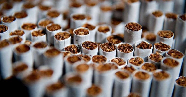 欧亚经济联盟每年因非法烟草制品造成的损失达10亿美元