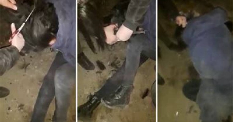 Байқоңырда тепкілеп, құрбысының шашын қиған қыздар табылды