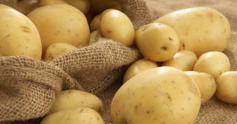 哈萨克斯坦允许进口吉尔吉斯斯坦水果和蔬菜