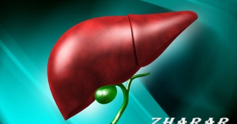 Бауырды тазартып, артық майлардан арылтатын 3 сусын