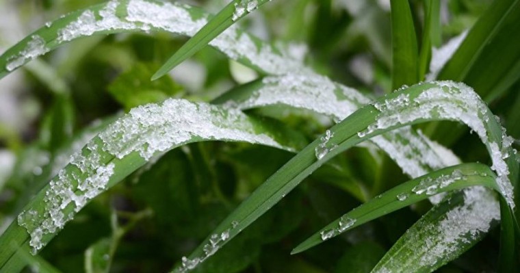 Ауа райы болжамы: 23, 24, 25 мамыр