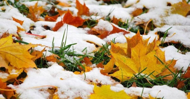 天气：北哈州将迎来雨夹雪