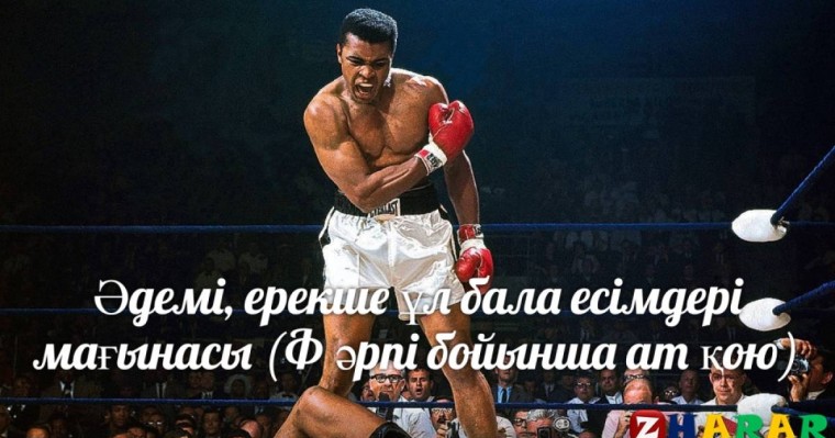 Әдемі, ерекше ұл бала есімдері мағынасы (Ф әрпі бойынша ат қою)