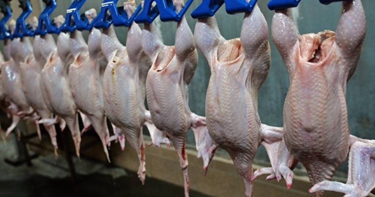 Қазақстанға Ресейден құс еті мен жұмыртқа әкелуге рұқсат етілді