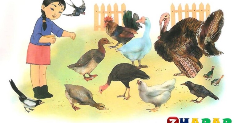 Қазақ тілінен сабақ жоспары: Жем шашамыз №10 (3 сынып, I тоқсан, 1 бөлім)