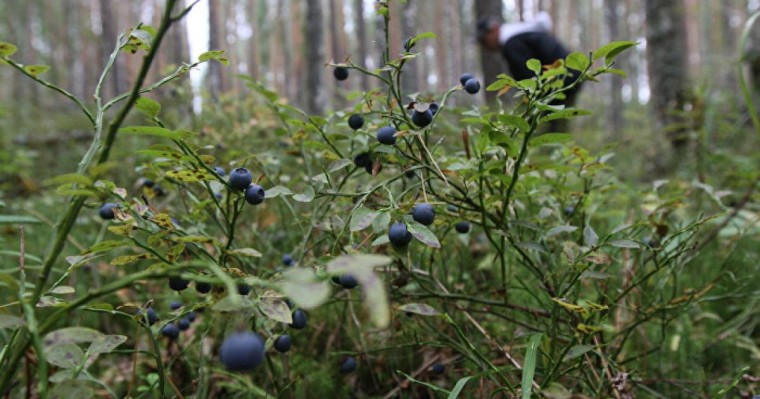 тауда әйелдерге тиісетін маньяк жүр