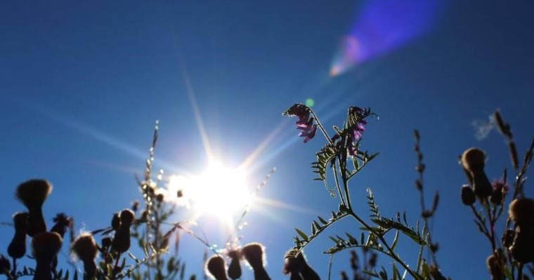 国家气象总局公布未来72小时天气预报