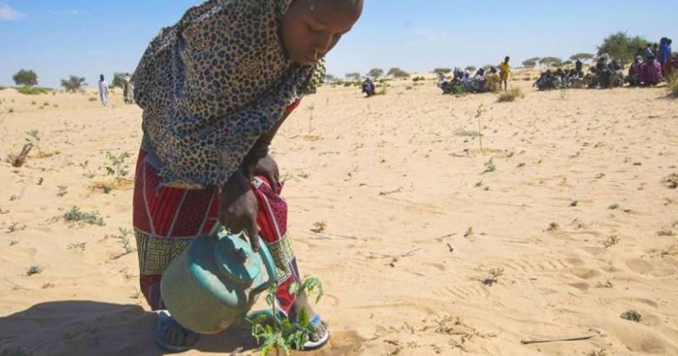 联合国秘书长敦促各国加强国际合作应对复杂国际挑战