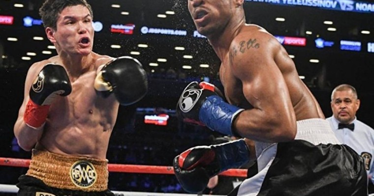 Данияр Елеусіновтің командасы Геннадий Головкинге жауап берді