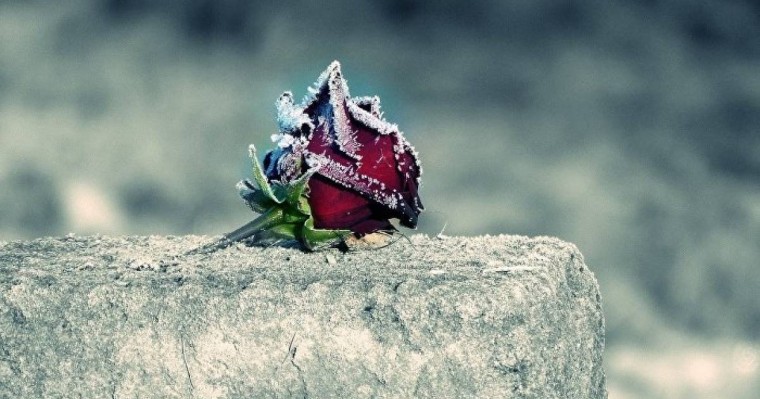 Жанар Хамитованы ертең жерлейді