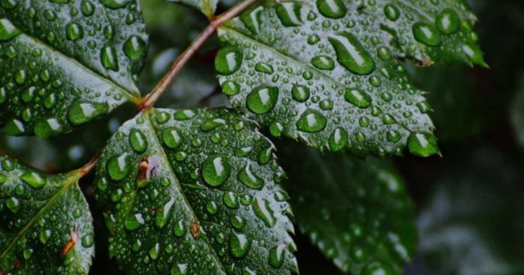 18, 19, 20 мамырға арналған ауа райы болжамы