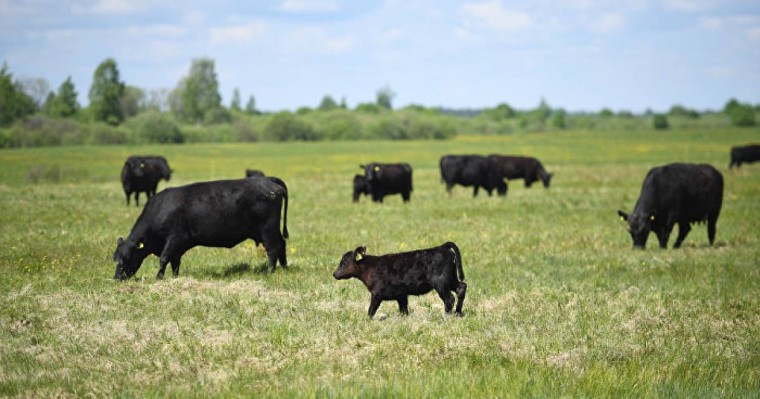 Шетелдіктерге жер сату: министр мәселеге нүкте қойды