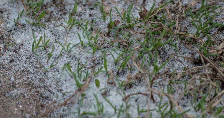 Өскеменде қар жауды - видео