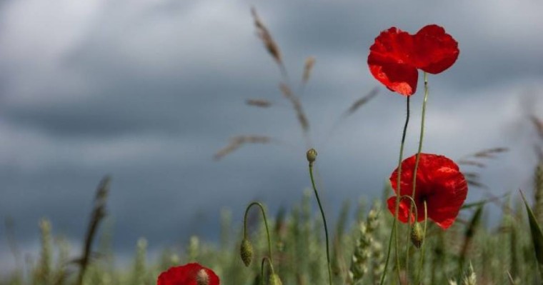 Алматы мен Жамбыл облыстарының шекарасы өзгерді