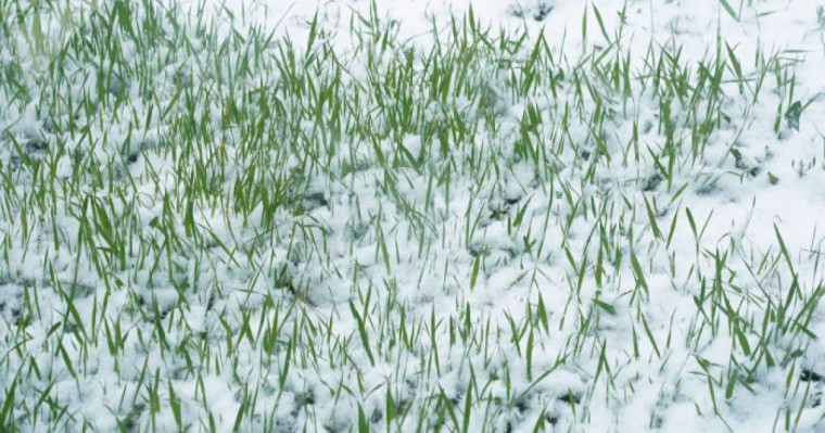 Ауа райы болжамы: 14, 15, 16 мамыр