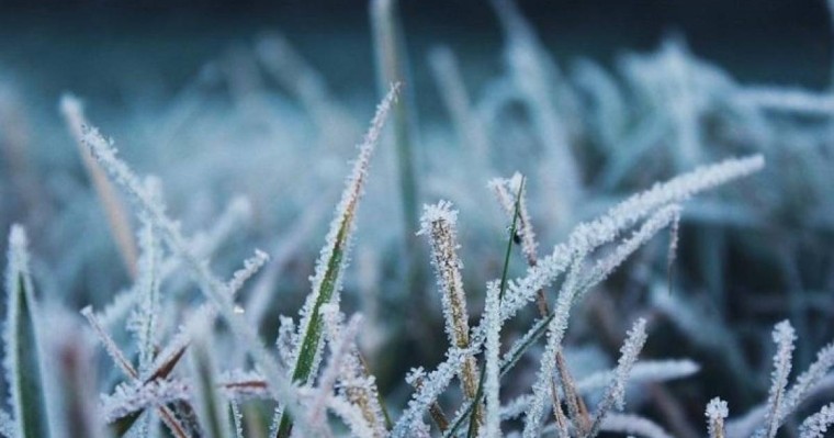 未来三天全国大部分地区气温将明显下降