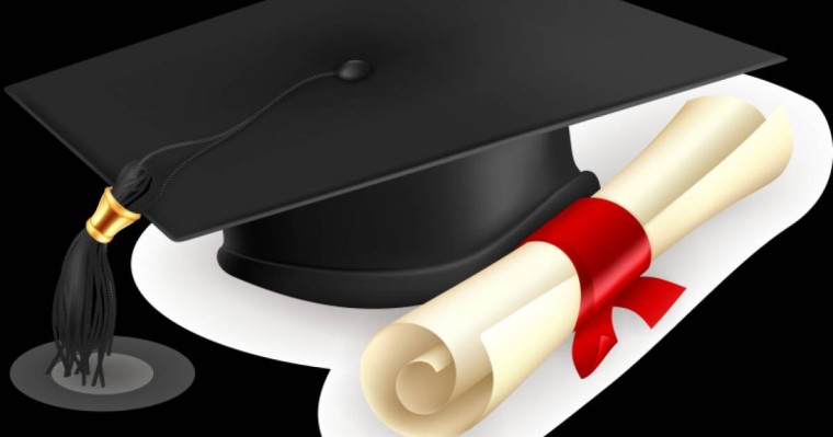 Дипломдық жұмыс: Ветеринария | Гипокинезия салдарынан ағзаның функциональдық жағдайының өзгеруі