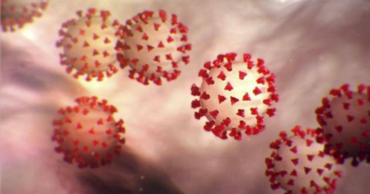 Қандай қан тобы COVID-19 инфекциясына қарсы тұра алатыны белгілі болды - Қазақстан жаңалықтары