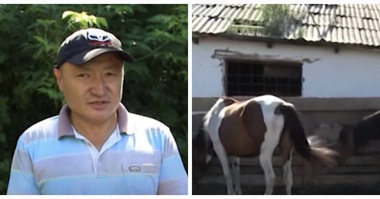 ШҚО тұрғындары жылқыға бөлінетін субсидияның аздығын айтып шағымдануда - Қазақстан жаңалықтары