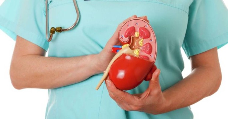 Украиналықтар Қазақстанда органдарын заңсыз сатқан