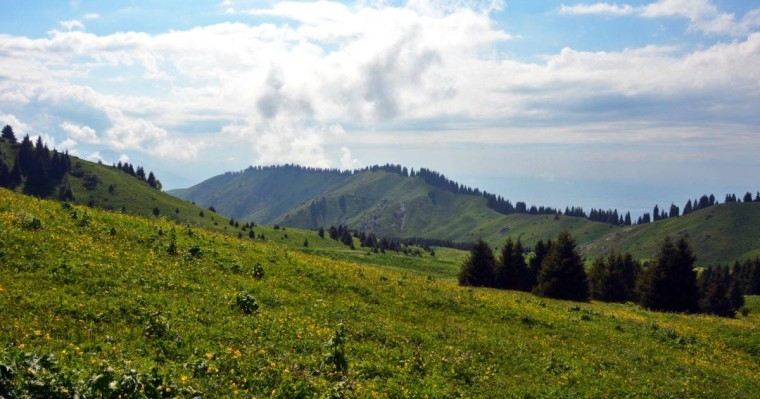 Белсенділер Көкжайлауды дамыту жобасын ұсынды