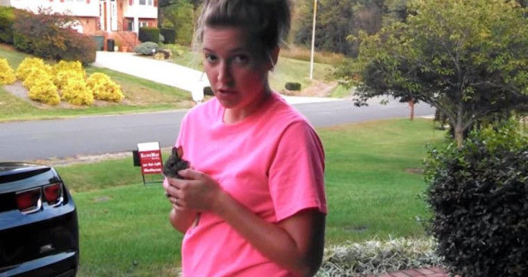 Көжекке тұтқиылдан қаршыға шабуылдады: оқиғаның соңын ешкім күтпеген еді