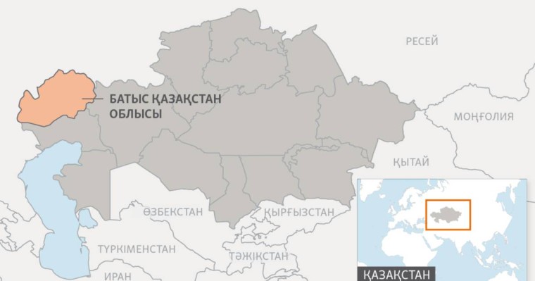 БҚО-да мүйізі кесілген ондаған киіктің өлігі табылды