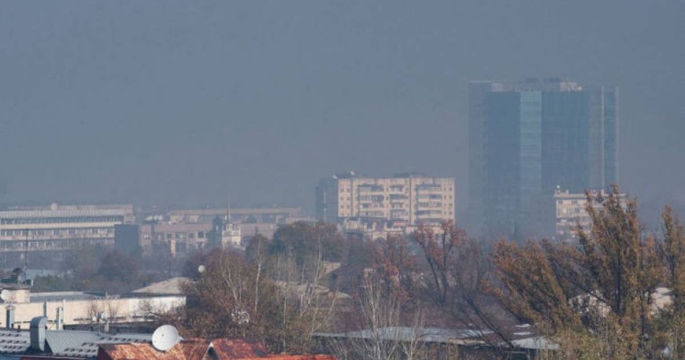 Алматыда карантин кезінде жүргізілген зерттеу нәтижесі экологтарды таңғалдырды