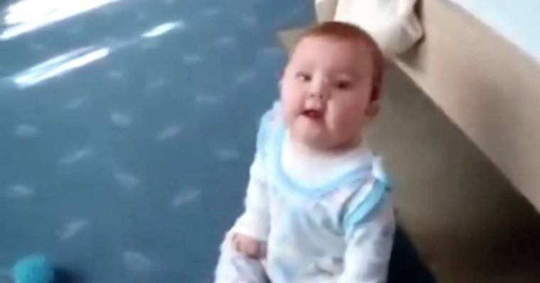 Сәби әлі жүре алмайды, дегенмен бидің түбін түсіреді – күлкілі видео  