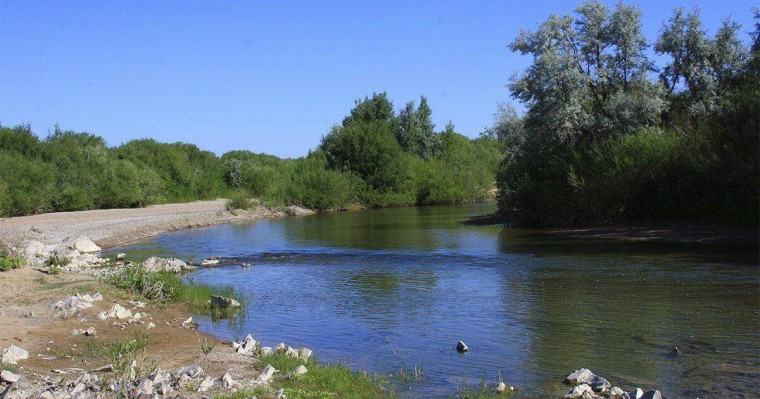 «Аягөзде эколог та жоқ»: Ринат Зайытов өзен жағдайын бақылайтын комиссия құруды ұсынды